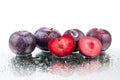 Four purple ripe plums and one cutted plum on white mirror background isolated close up macro in row in water drops Royalty Free Stock Photo