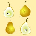 Pear fruit vector