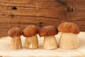 Four wild porcini mushrooms standing in a row on wooden board wi Royalty Free Stock Photo