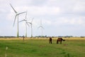 Field, Horses and wind turbines Royalty Free Stock Photo