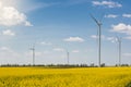 Four wind turbines stand on a flowering canola field, the concept of clean energy Royalty Free Stock Photo