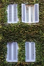 Four windows. Building facade entirely covered with ivy.