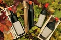 Four wine gift boxes