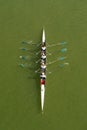 Four women rowing on Danube river