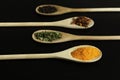 Four wooden spoons with saffron, oregano, chillies and black pepper Royalty Free Stock Photo