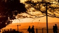 Four workers returning home at sunset in South Africa