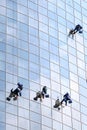 Four workers washing windows