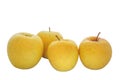 Four yellow apple fruits on a white background Royalty Free Stock Photo