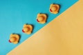 Four yellow rubber ducks on a blue and yellow background. Bath concept. Copy space, flat lay Royalty Free Stock Photo