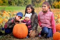 Four young little girls in pumpkin patch