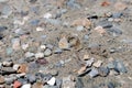 Foure butterflies in the sand and stones Royalty Free Stock Photo