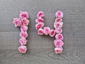 14, fourteen - vintage number of pink roses on the background of dark wood