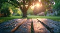 Fourth of July Backyard Cookout: Professional Product Shot of Empty Picnic Table Royalty Free Stock Photo