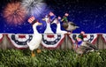 Fourth July Duck Party