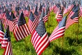 Fourth of July field of flags Royalty Free Stock Photo