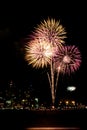 Fourth of July fireworks Royalty Free Stock Photo