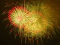 Fourth of July Fireworks Royalty Free Stock Photo