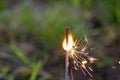 Fourth of July sparkler with ground back ground Royalty Free Stock Photo