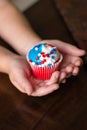 Fourth of July Star Cupcakes