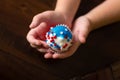 Fourth of July Star Cupcakes