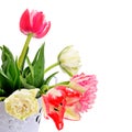 Fowers tulips in decorative bucket isolated on white background