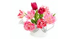 Fowers tulips in watering can isolated on white background. Free space for text