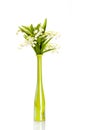 Fowers in vase sprind outcut white background