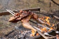 Fowl preparing, Hunting theme. Cooking a whole Pheasant body on an iron skewers over a campfire with burning coals and