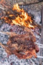 Fowl preparing, Hunting theme. Cooking a whole Pheasant body on an iron skewers over a campfire with burning coals and