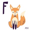Fox Animal alphabet. Hand draw forest animals in Scandinavian style. Learning letter F. F is for hedgehog. Alphabet Series A-Z.