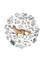 Fox animal with floral bouquet circle. Realistic winter cute walking red wild fox isolated illustration on white Royalty Free Stock Photo