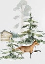 Fox animal in forest. Realistic winter cute walking red wild fox isolated illustration on white background. Royalty Free Stock Photo