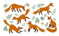 Fox animal watercolor illustration set. Wild cute fox sit and stand elements. Forest animal and herb collection. Red