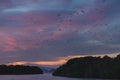 Fox bat flying in the sunset sky, Komodo, Flores