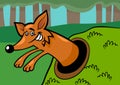 Fox in burrow cartoon illustration