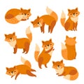 Fox characters. Cute cartoon red foxes, funny animal running standing or sitting. Isolated forest wildlife, foxy with Royalty Free Stock Photo