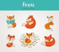 Fox characters, cute, lovely illustrations