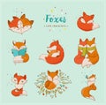 Fox characters, cute, lovely illustrations