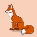 Fox, common fox or red fox