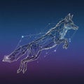 Fox, composed of interconnected geometric lines and dots, resembling a Royalty Free Stock Photo