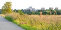 Fox crosses road dutch landscape Royalty Free Stock Photo