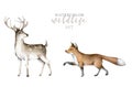 Fox and deer forest animal. Realistic winter cute walking red wild fox isolated illustration on white background. Winter Royalty Free Stock Photo