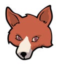 Fox face Royalty Free Stock Photo