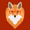 Fox face in glasses vector illustration flat style front Royalty Free Stock Photo