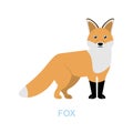 Fox flat icon. Colored element sign from wild animals collection. Flat Fox icon sign for web design, infographics and Royalty Free Stock Photo