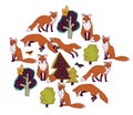 Fox forest color isolate objects white round.