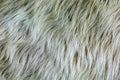 Fox fur textures. Fox shaggy fur texture. Abstract fabric. Fluffy rusty texture. Smooth surface, rough skin background Royalty Free Stock Photo