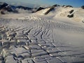 Fox Glacier New Zealand