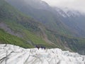 Fox Glacier - New Zealand