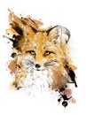 Fox. Graphic drawing. Color graphic illustration